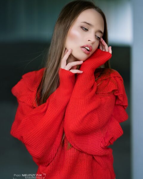 Idylla B
